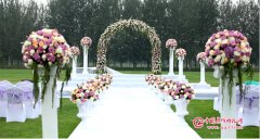   2018年6月16日草坪集体婚礼：第二十二届“爱情海”草坪京城少见的婚礼场地